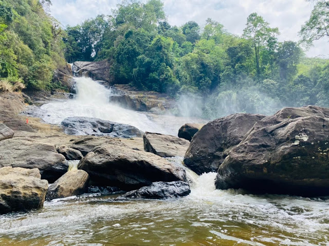 නිධානයක් සගවා ඇති - බෝපත් ඇල්ල 🌳🌱❤️ (Bopath Ella) - Your Choice Way