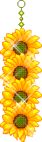 dns96.png