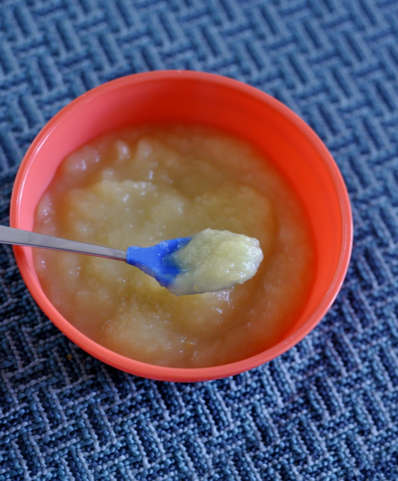 How To: Make and Freeze Homemade Baby Food {Applesauce} | Taste As You Go