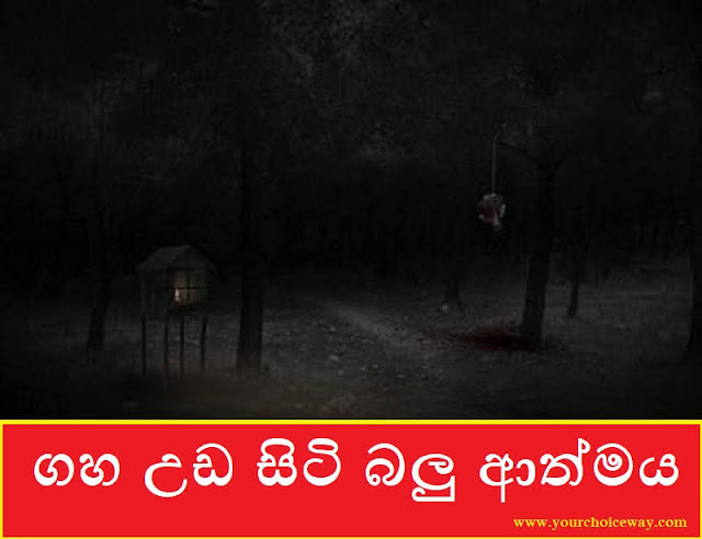 ගහ උඩ සිටි බලු ආත්මය (Balu Athmaya) - Your Choice Way