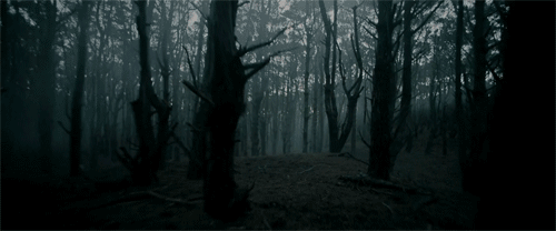 HFNDYwRlihS17d5Xdmr_sjxiXxG_JV5cntlsMJ0p7eU9lOpQAQfIEoy3tH_kAK6ndf-9u7JcOcvGccro-PG5W06MAlmvKyofv5dBJ5-vIpljAlXAvB6EIvCeWpuRWU5rhQZXCXymNkmn29gk8XFOOA8