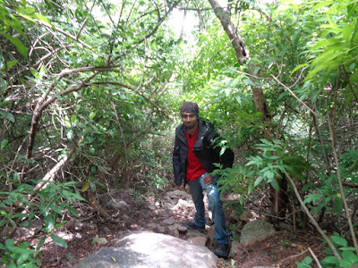 Sippy in the jungle route of Bhairavadurga