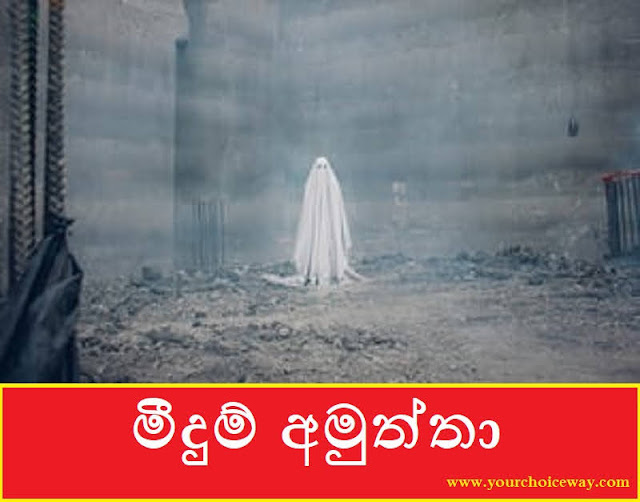 මීදුම් අමුත්තා (Amuththaa) - Your Choice Way