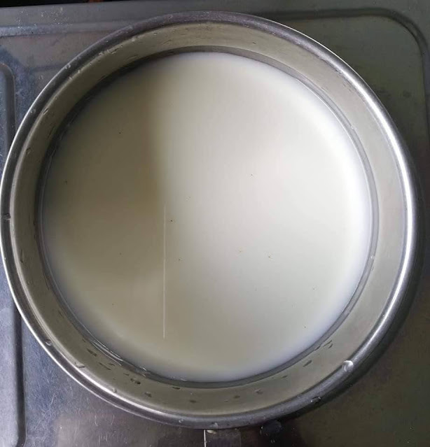 කිරි පිටි පුඩිම් හදමු (Milk Pudding) 🍚 - Your Choice Way