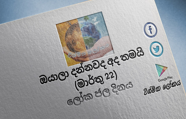 දවසේ වැදගත්කම - මාර්තු 22 ලෝක ජල දිනය (Significance Of The Day - March 22 World Water Day) - Your Choice Way