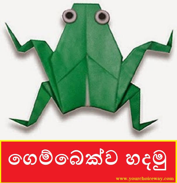 ගෙම්බෙක්ව හදමු (Origami Frog) - Your Choice Way