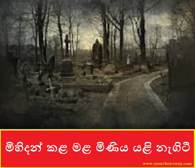 මිහිදන් කළ මළ මිණිය යළි නැගිටී (Second Birth) - Your Choice Way