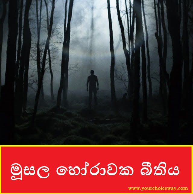 මූසල හෝරාවක බීතිය (Horror) - Your Choice Way