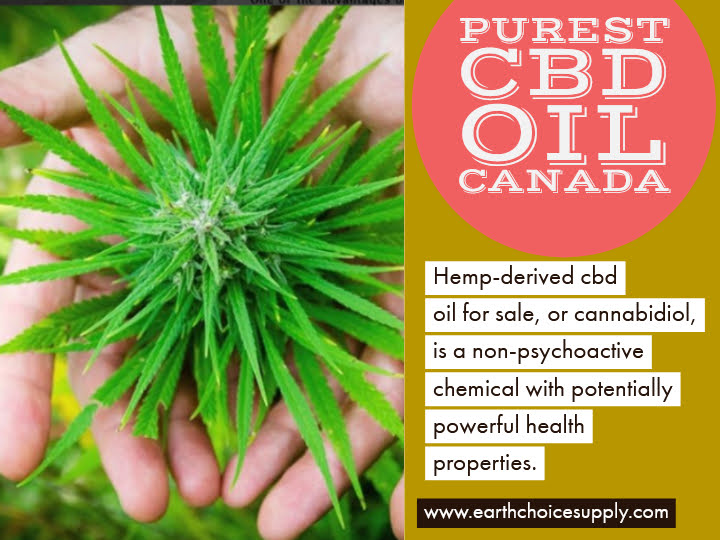 Purest CBD Oil Canada