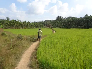 Driving back to Bangalore