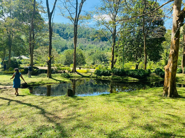 නිදහසේ ඉන්න සීතාවක Park යමුද? 🍃🎋🎋🌱❤️ (Sithawaka Park) - Your Choice Way