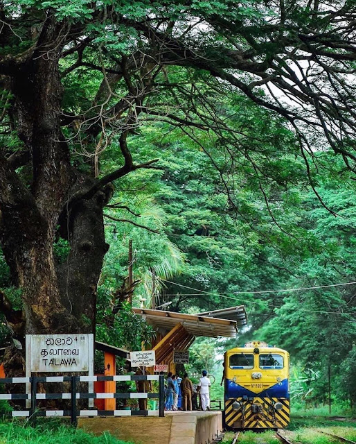 තවලම් ආව - තලාව දුම්රිය ස්ථානය 🚃🚋🚆🚧 (Thalawa Railway Station) - Your Chioce Way  Post settings Labels Sri Lanka, සුන්දර ලංකා Published on 11/19/21 3:00 AM Links Location Search Description අද අපි කතා කරන්න යන්නේ උතුරු මාර්ගයේ ලස්සන දුම්‍ රිය මාර්ගයක්...  මුලින්ම කියන්නම්කෝ මේ ගමට නම හැදුන හැටි   මේ ගමට තලාව කියන නම ආවේ මෙන්න මෙහෙමයි..  ත Options