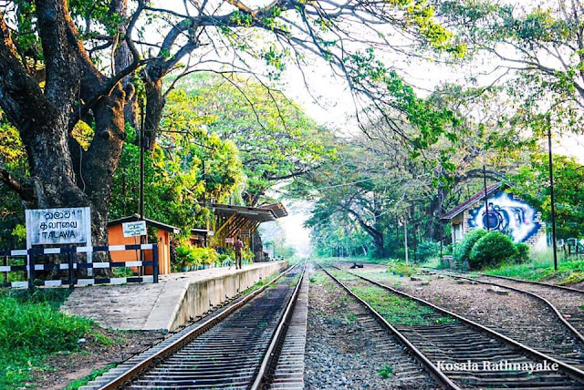 තවලම් ආව - තලාව දුම්රිය ස්ථානය 🚃🚋🚆🚧 (Thalawa Railway Station) - Your Chioce Way  Post settings Labels Sri Lanka, සුන්දර ලංකා Published on 11/19/21 3:00 AM Links Location Search Description අද අපි කතා කරන්න යන්නේ උතුරු මාර්ගයේ ලස්සන දුම්‍ රිය මාර්ගයක්...  මුලින්ම කියන්නම්කෝ මේ ගමට නම හැදුන හැටි   මේ ගමට තලාව කියන නම ආවේ මෙන්න මෙහෙමයි..  ත Options