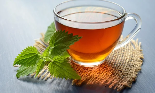 Lamsa tea side effects