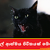 බළල් ආත්මය ජිචිතයක් බේරයි (Horror Cat)