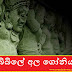 බිබිලේ අල ගෝනිය (Horror)