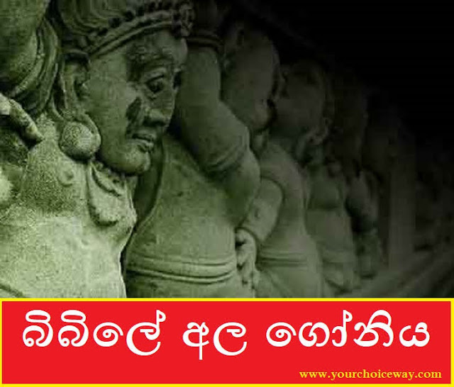 බිබිලේ අල ගෝනිය (Horror) - Your Choice Way