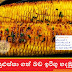 පුළුස්සා ගත් බඩ ඉරිගු හදමු 🌽(Butter Roasted Corn)