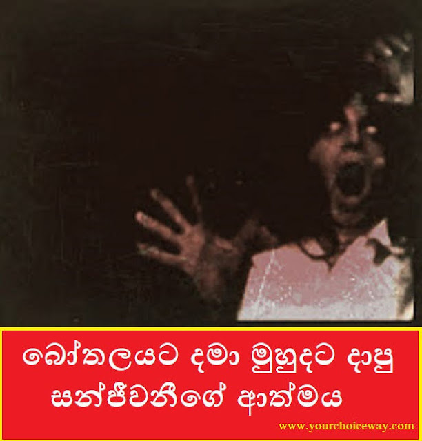 බෝතලයට දමා මුහුදට දාපු සන්ජීවනීගේ ආත්මය (Sanjiwani) - Your Choice Way