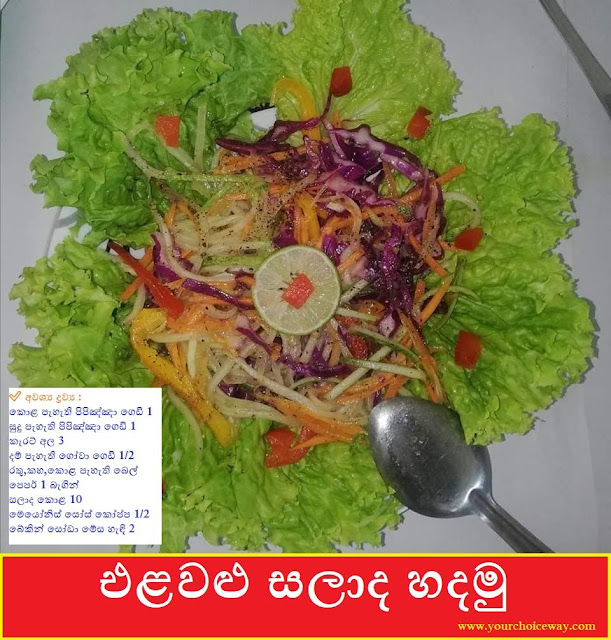 එළවළු සලාද හදමු (Vegetable Salad) 🥗🥗 👌 - Your Choice Way