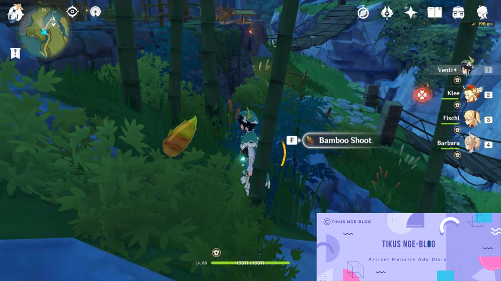 Location of bamboo shoots Genshin Impact MOBA Games