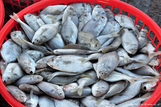 肉鯽仔(肉魚)