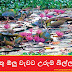 රතු ඕලු වැවට උරුම බිල්ල (Rathu Olu)