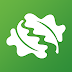 Tree ID – British Trees ( Android )