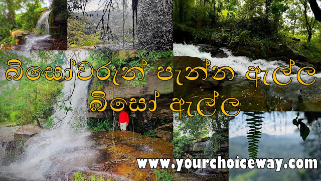 බිසෝවරුන් පැන්න ඇල්ල - බිසෝ ඇල්ල 🧝‍♀️👸🏻🩸 (Biso Ella) - Your Choice Way