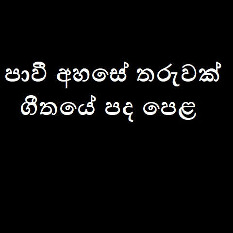 Paavi Ahase Tharuwak Song Lyrics - පාවී අහසේ තරුවක් ගීතයේ පද පෙළ