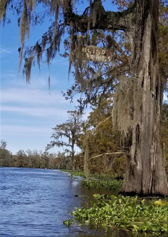 Southeastern Louisiana Paddling Paddling Blind River Just Exploring