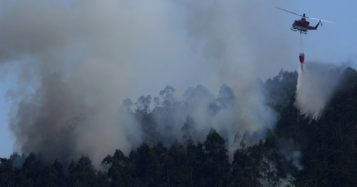 R€GANO$A IL€GAL: Outro lume asolou na xornada de hoxe o monte O Piñón