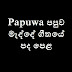Papuwa Madde Song Lyrics | පපුව මැද්දේ ගීතයේ පද පෙළ