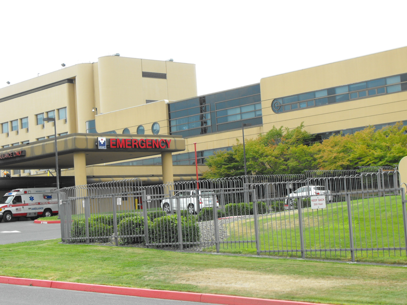 I SURVIVED TO RISE AGAIN June 2010