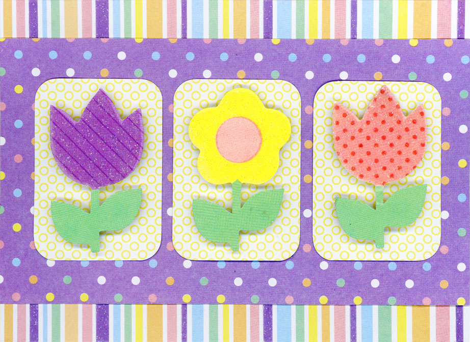 The Paper Company Studio