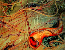 DERMIS: SOSTIENE Y ALIMENTA
