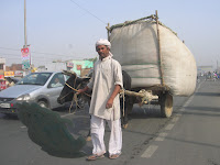 Carreta bueyes en autopista, Agra, India, vuelta al mundo, round the world, La vuelta al mundo de Asun y Ricardo