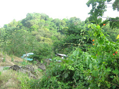 Tac-an sitio near Budlaan
