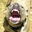 aaarrrggggghh!!!!