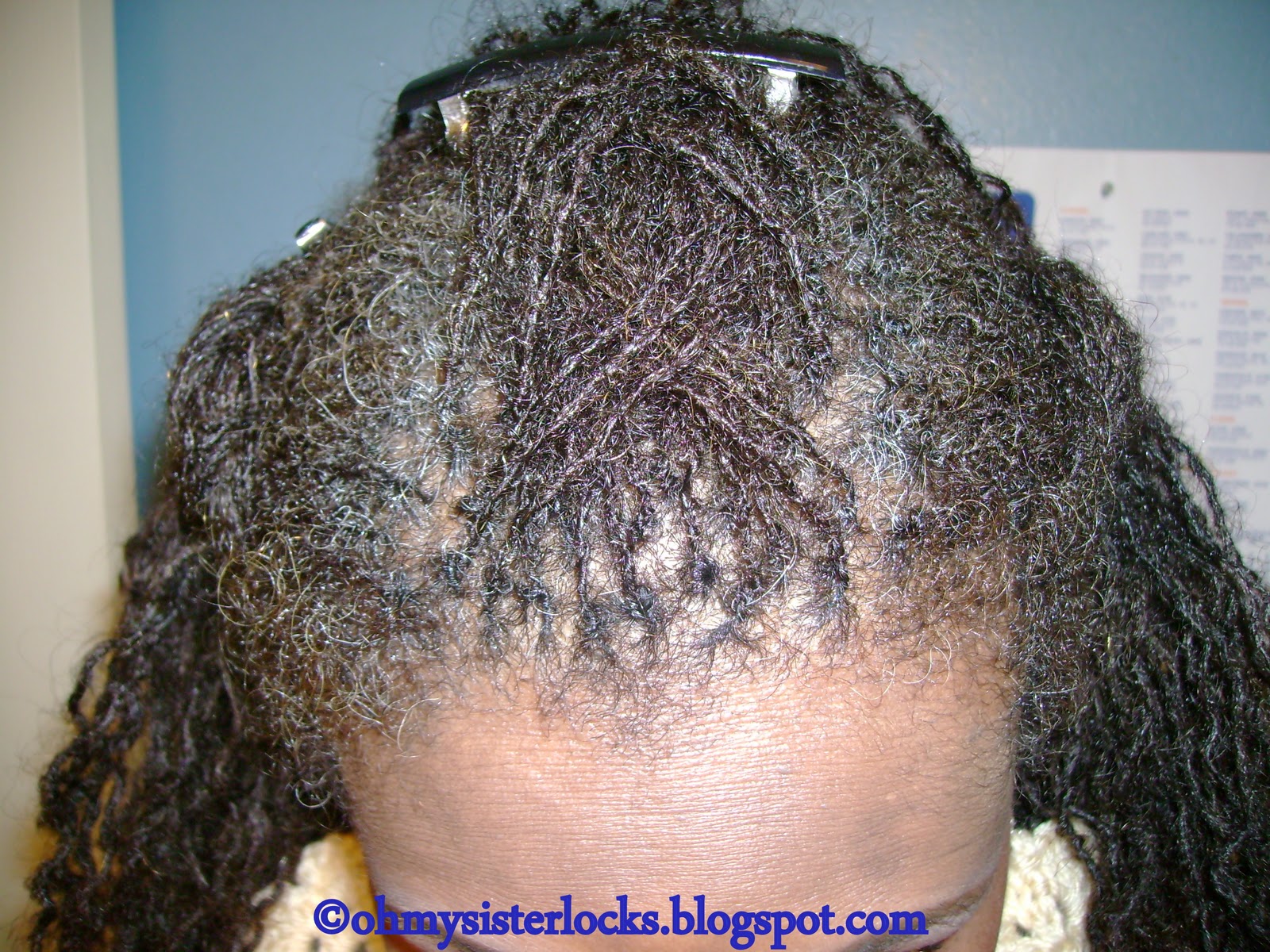 Oh My! Sisterlocks The Orlando Natural Hair Expo! HairStyle