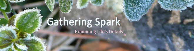 Gathering Spark