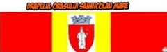 Drapelul orasului Sannicolau Mare