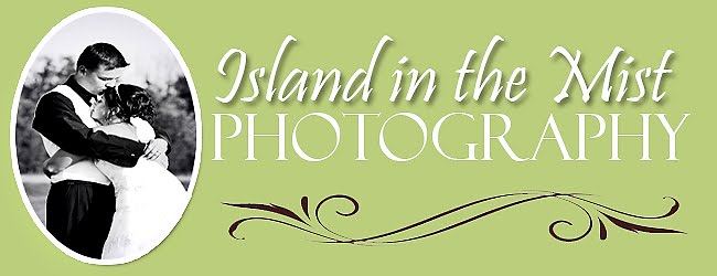Island in the Mist Photography |                                       My View Through the Lens....