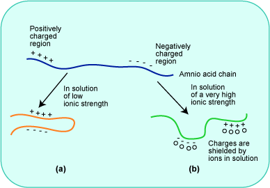 protein properties ionic strength effect folding figure ion concentration shows