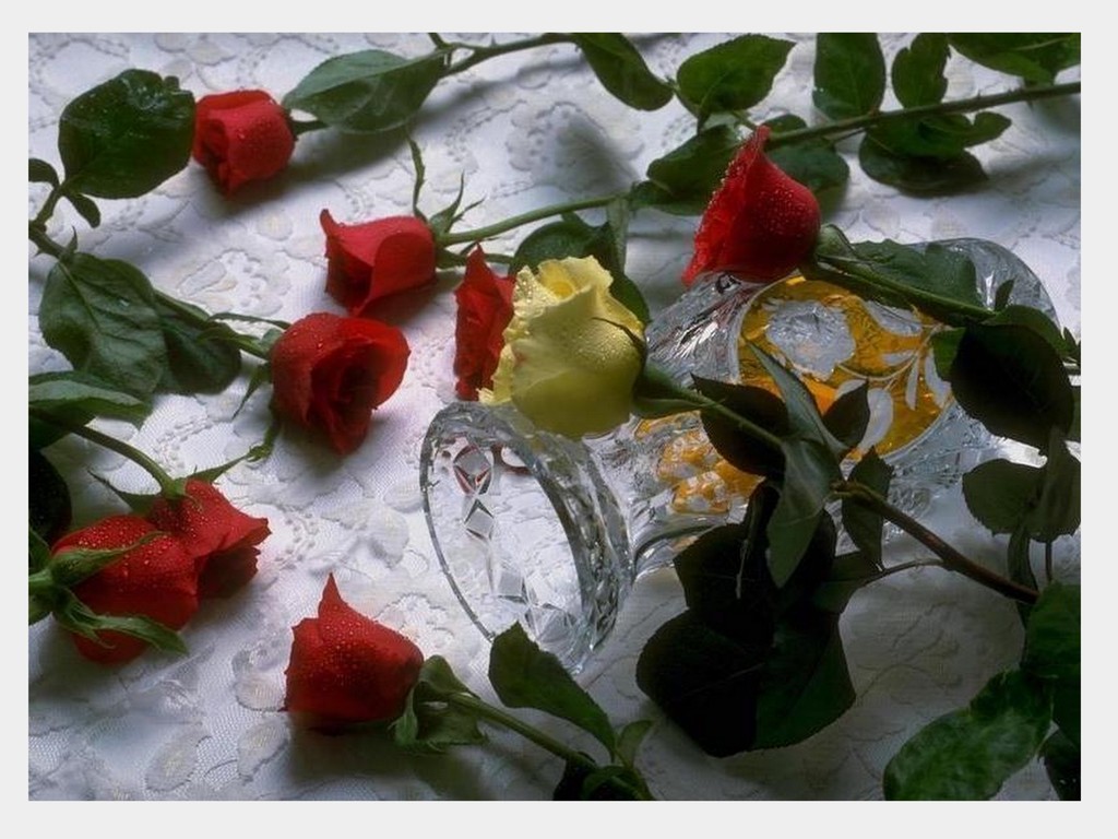 Recent+New+Love+Red+Roses.jpg
