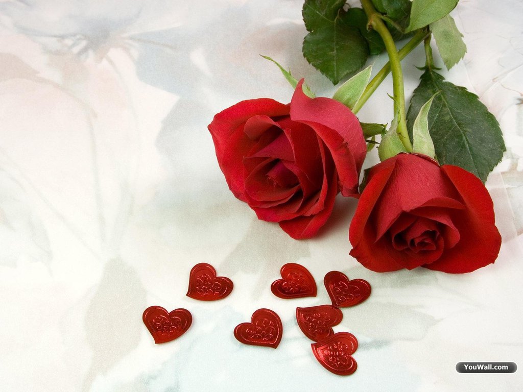 http://1.bp.blogspot.com/_-8ueNRWhLqY/TUvX_DEhD5I/AAAAAAAAB2A/qpryHDJMlO8/s1600/Red%20Roses%20And%20Red%20Hearts.jpg