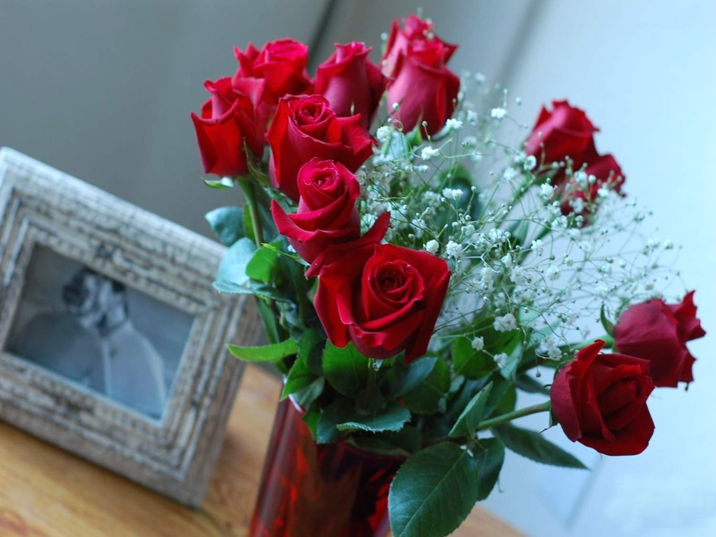 Red+Roses+For+You.jpg