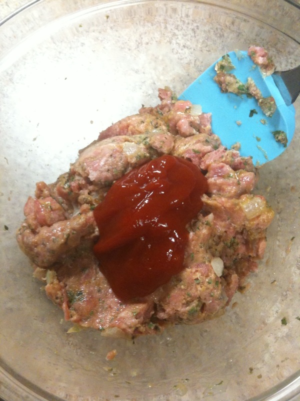 [turkey+mtbl+mix+ketcup.jpg]