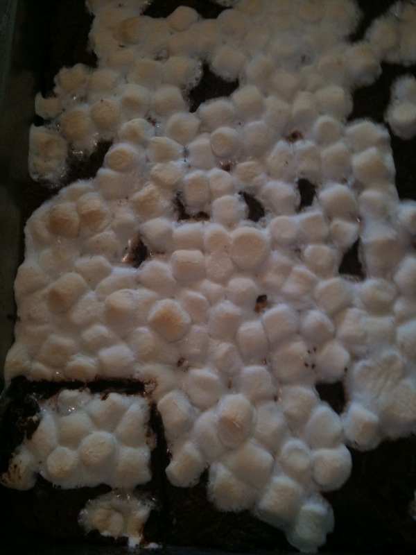 [gluten+free+brownies.jpg]