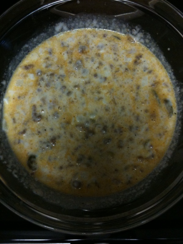 [meaty+cheesy+dip.jpg]